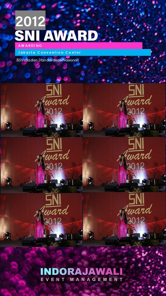 SNI AWARD 2012